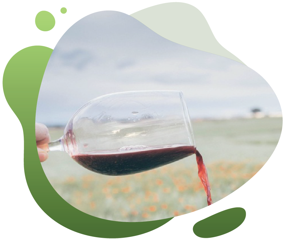 vino oblikovana